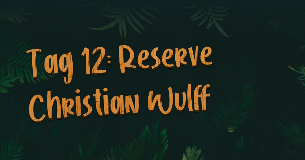 #104 – Tag 12: Reverse Christian Wulff